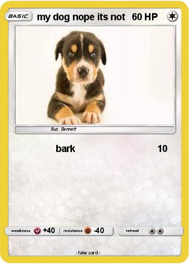 Pokemon my dog nope its not