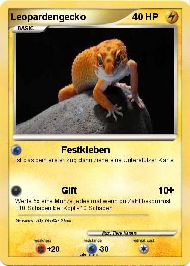 Pokemon Leopardengecko