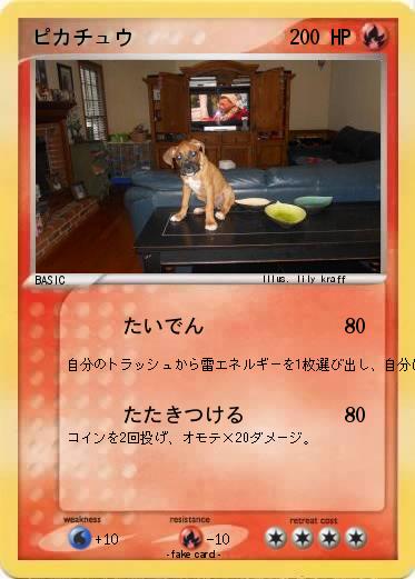 Pokemon ピカチュウ