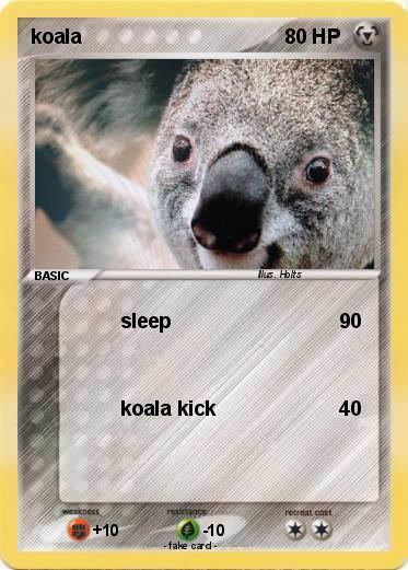 Pokemon koala