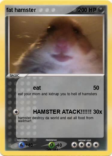 Pokemon fat hamster