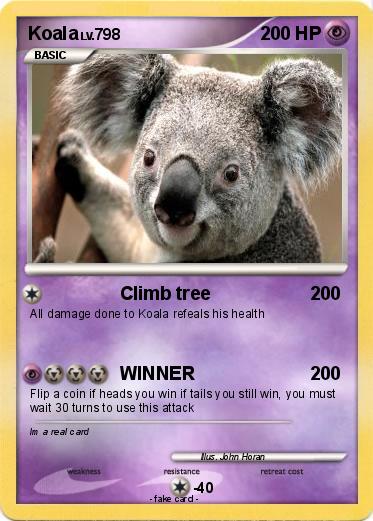 Pokemon Koala