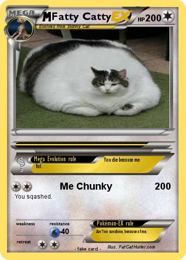 Pokemon Fatty Catty