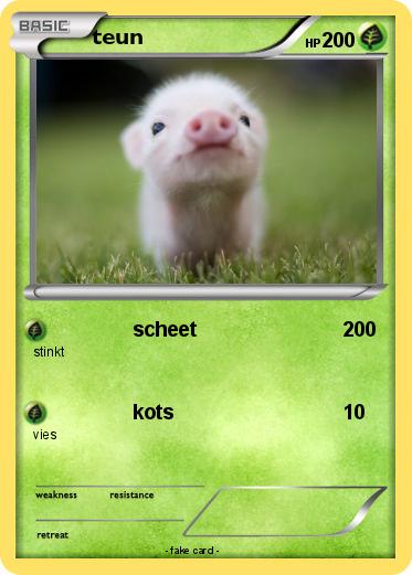 Pokemon teun