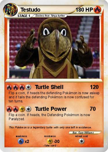 Pokemon Testudo