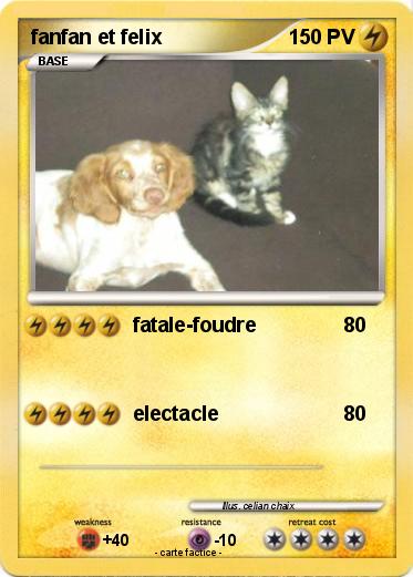 Pokemon fanfan et felix