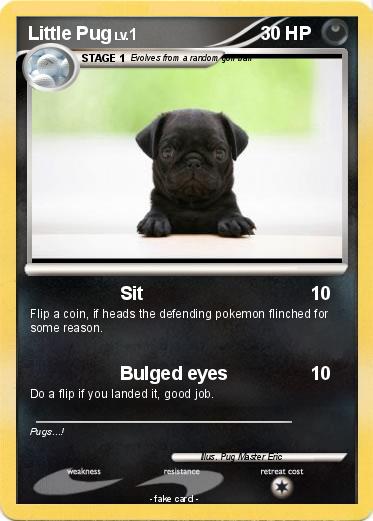 Pokemon Little Pug