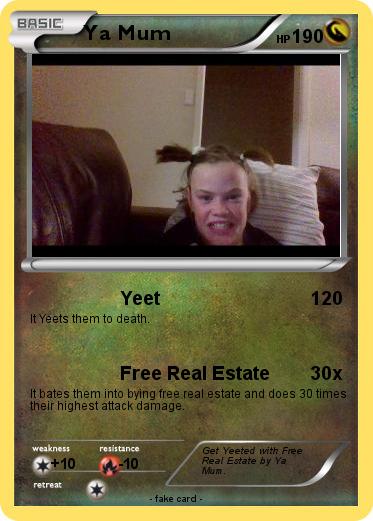 Pokemon Ya Mum