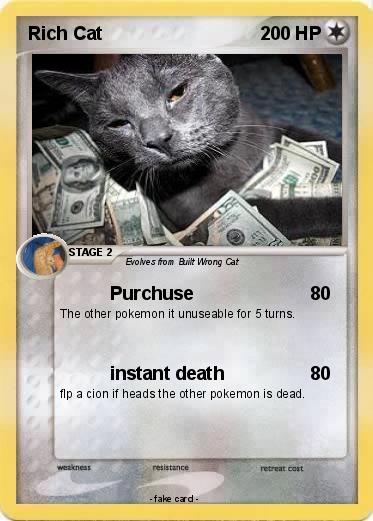Pokemon Rich Cat