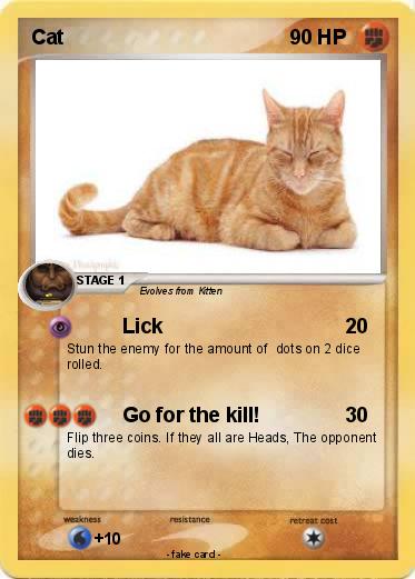 Pokemon Cat