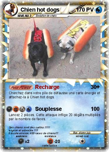Pokemon Chien hot dogs