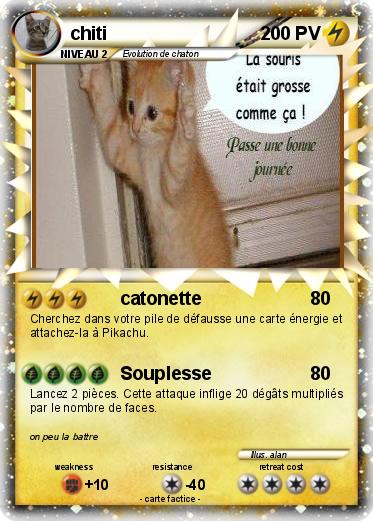 Pokemon chiti