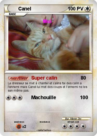 Pokemon Canel