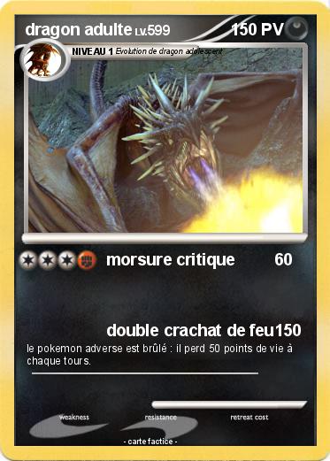 Pokemon dragon adulte