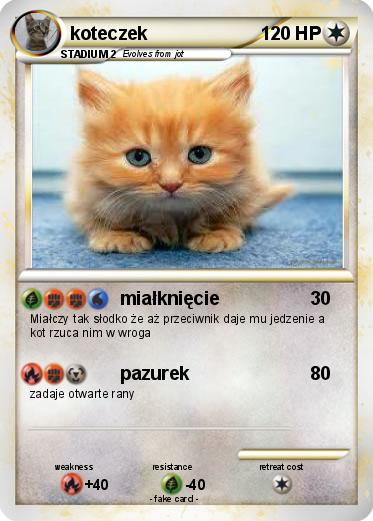 Pokemon koteczek