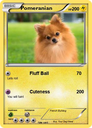 Pokemon Pomeranian