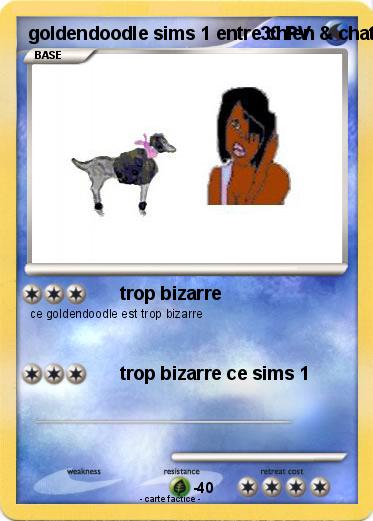 Pokemon goldendoodle sims 1 entre chien & chat