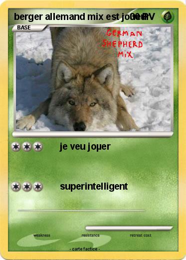 Pokemon berger allemand mix est joueur