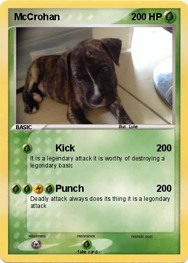 Pokemon McCrohan