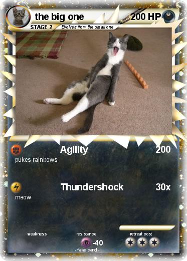 Pokemon the big one