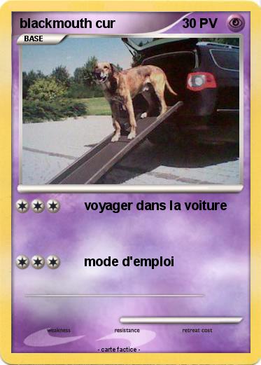 Pokemon blackmouth cur
