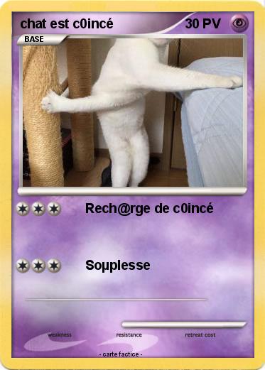 Pokemon chat est c0incé
