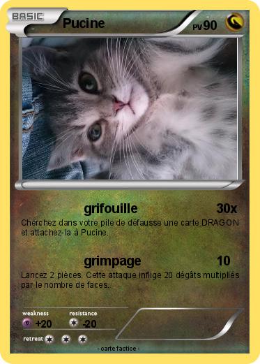 Pokemon Pucine