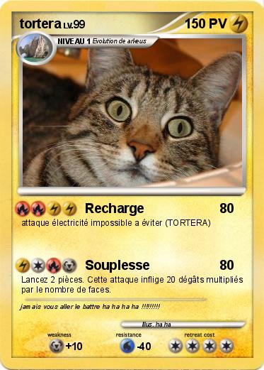 Pokemon tortera