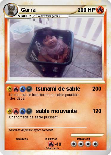Pokemon Garra