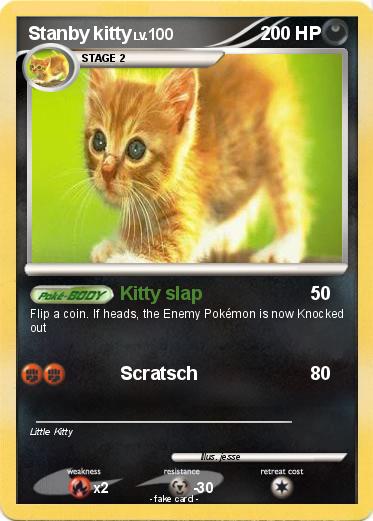 Pokemon Stanby kitty