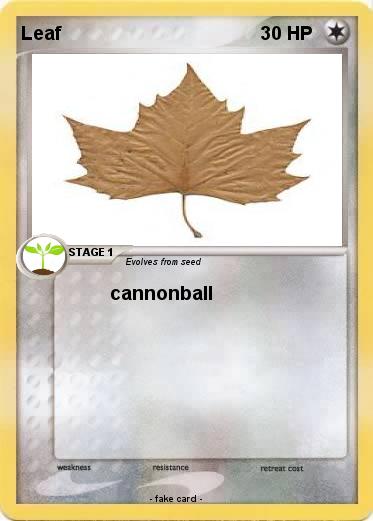 Pokemon Leaf