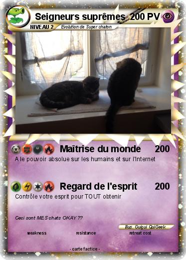 Pokemon Seigneurs suprêmes