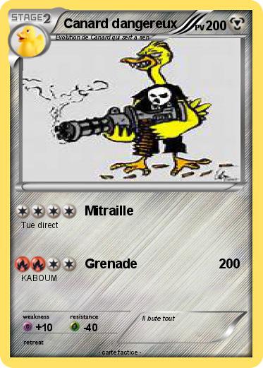 Pokemon Canard dangereux