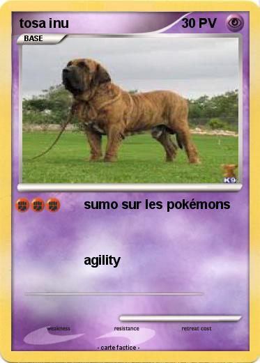 Pokemon tosa inu