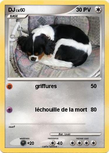 Pokemon DJ