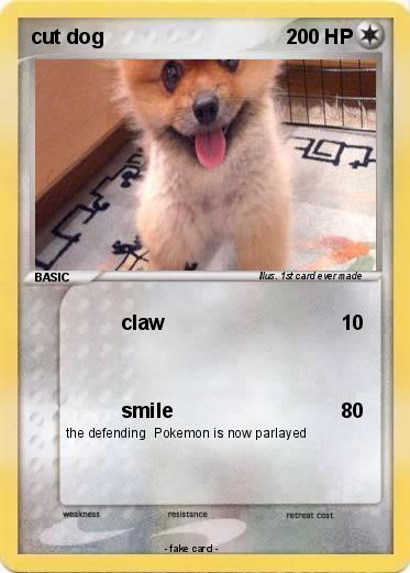 Pokemon cut dog