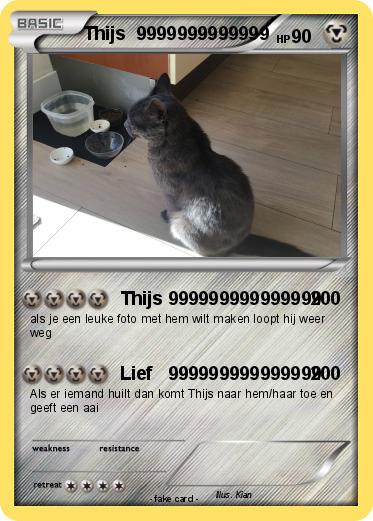 Pokemon Thijs  9999999999999