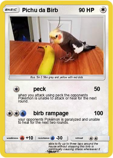 Pokemon Pichu da Birb