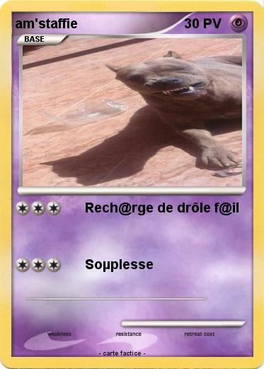 Pokemon am'staffie
