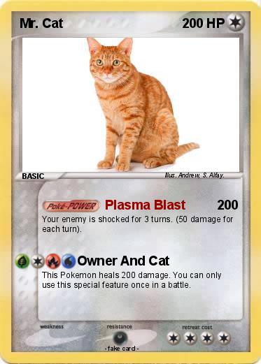 Pokemon Mr. Cat