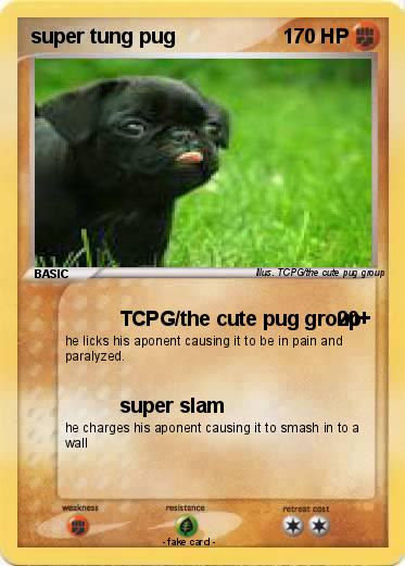Pokemon super tung pug