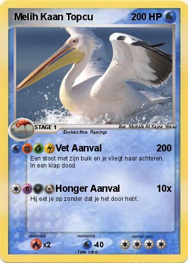 Pokemon Melih Kaan Topcu