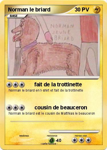 Pokemon Norman le briard