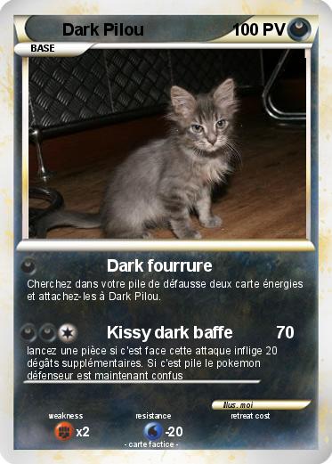Pokemon Dark Pilou