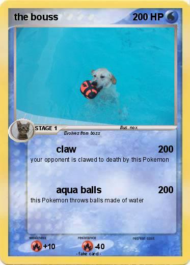 Pokemon the bouss