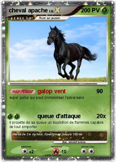 Pokemon cheval apache