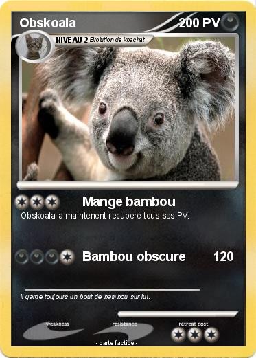 Pokemon Obskoala