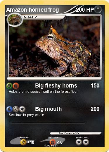 Pokemon Amazon horned frog
