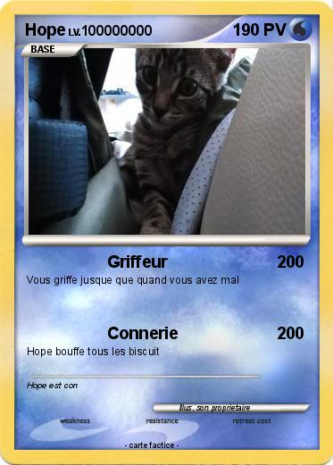 Pokemon Hope