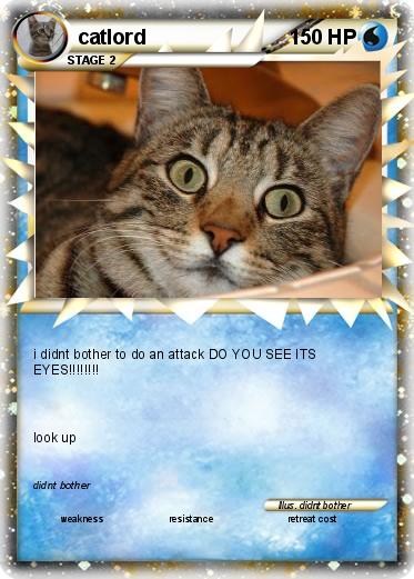 Pokemon catlord